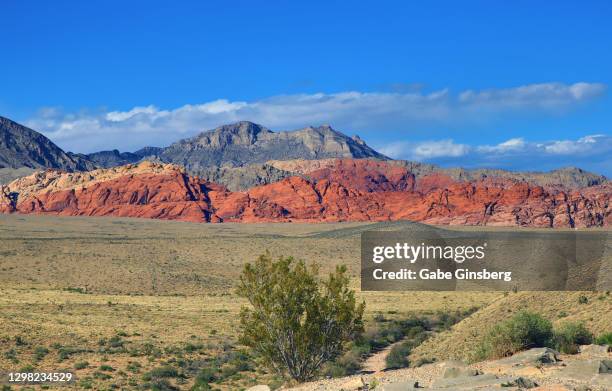 a view of aztec sandstone at the red rock canyon - spring mountains stock pictures, royalty-free photos & images