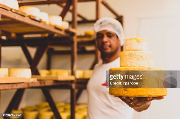 a man shows the artisan cheese production - minas gerais state stock pictures, royalty-free photos & images