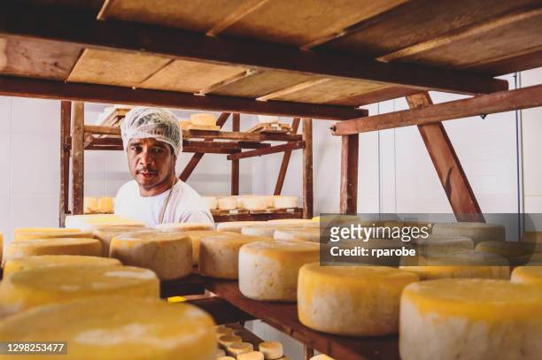 un hombre en el fondo poniendo quesos para madurar en el estante - estado de minas gerais fotografías e imágenes de stock
