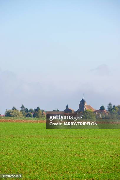 Bassevelle Photos and Premium High Res Pictures Getty Images