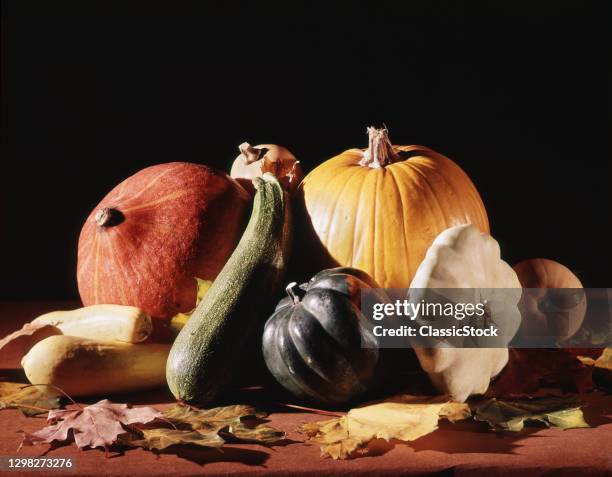 1980s Autumn Harvest Still Life Assorted Gourds Squash Pumpkin And Dried Leaves.