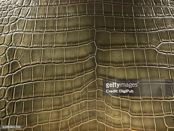 leather - snake texture stock pictures, royalty-free photos & images