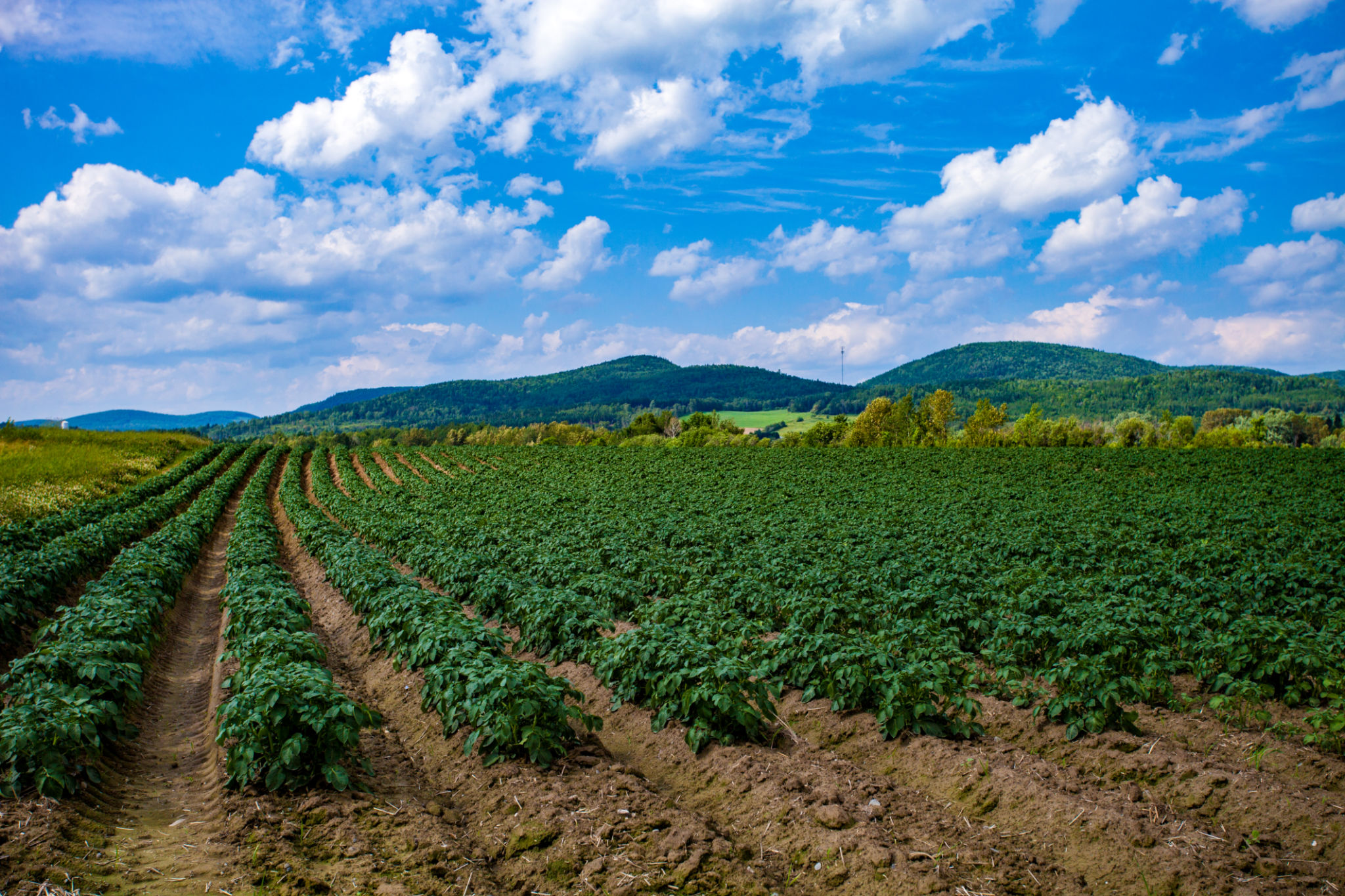 maine countryside