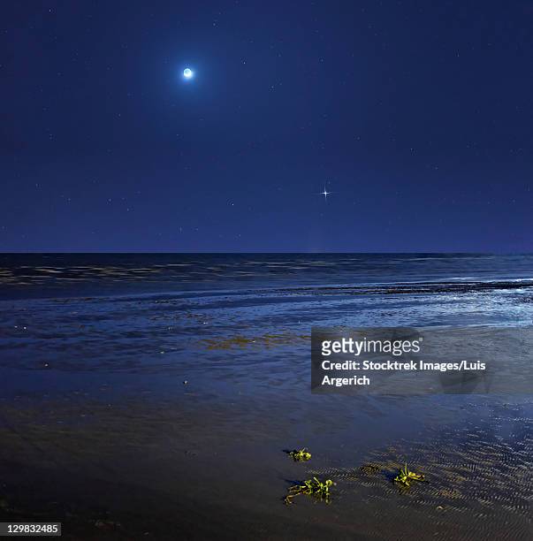 venus shines brightly below the crescent moon as seen from coast of buenos aires, argentina. - venus stock-fotos und bilder