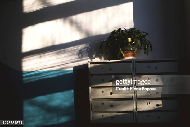 vintage mailboxes against painted wall at entrance hall - zeitung briefkasten stock-fotos und bilder