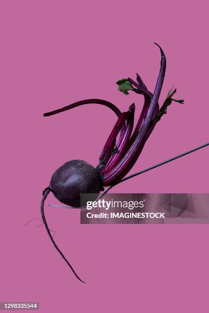 beetroot on a fork on a pink background - remolacha fotografías e imágenes de stock