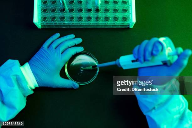 aerial view of the hands of a scientist pouring fluid with the pipette into a petri dish in a laboratory with a green atmosphere. - forschung labor stock-fotos und bilder