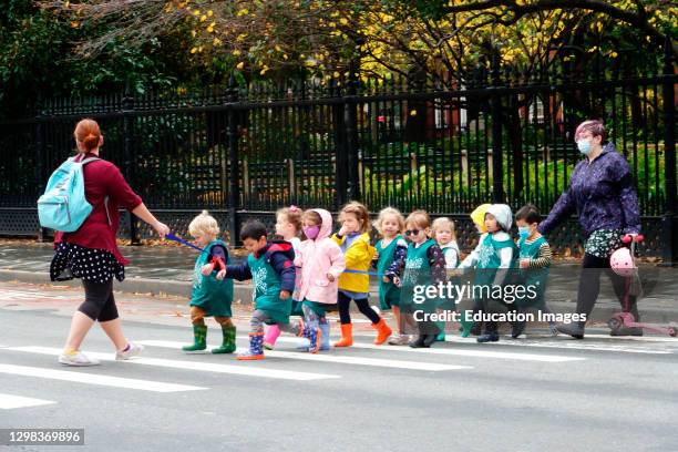 Line of pre-school children crossing street with teacher.