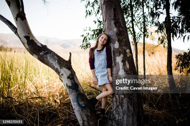 young girl posing in tree at park in chula vista - chula vista - fotografias e filmes do acervo