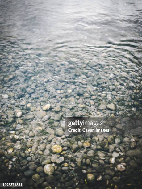 rippling water and stones and mossy rocks on the bottom of river shore - rock bottom stock pictures, royalty-free photos & images