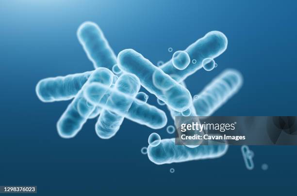 close-up of 3d rendering microscopic blue bacteria. - salmonella bacteria fotografías e imágenes de stock