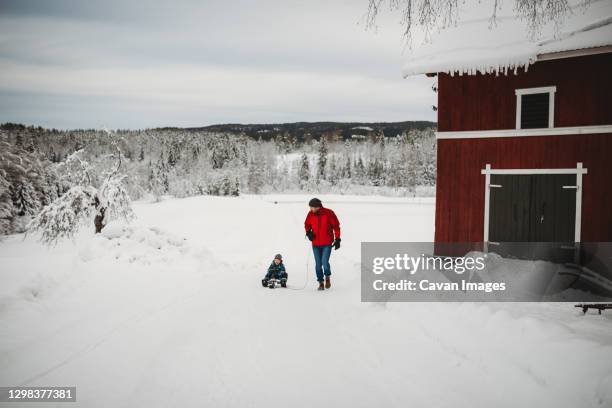 father pulling son on sleigh in countryside in norway on cold winter - baby winter farm son stock pictures, royalty-free photos & images