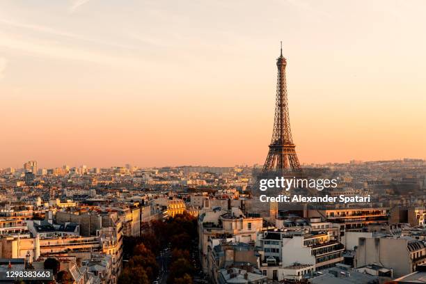 aerial view of paris streets and eiffel tower at sunset, france - eiffelturm stock-fotos und bilder