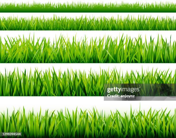 Astro Turf Animation 175 Green Astro Turf Background High Res Illustrations - Getty Images