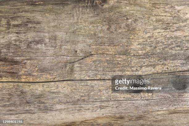 natural wood texture - wood material foto e immagini stock