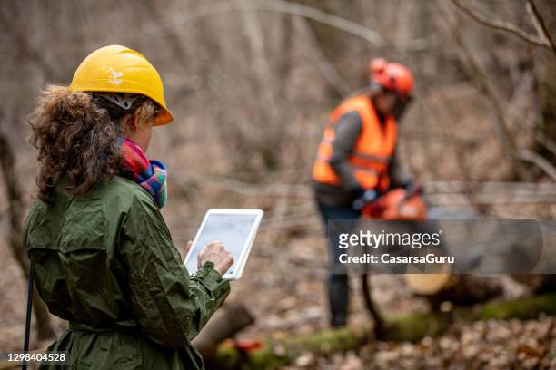 forester foreman che utilizza tablet digitale quando si lavora e si supervisiona nella foresta - taglialegna foto e immagini stock