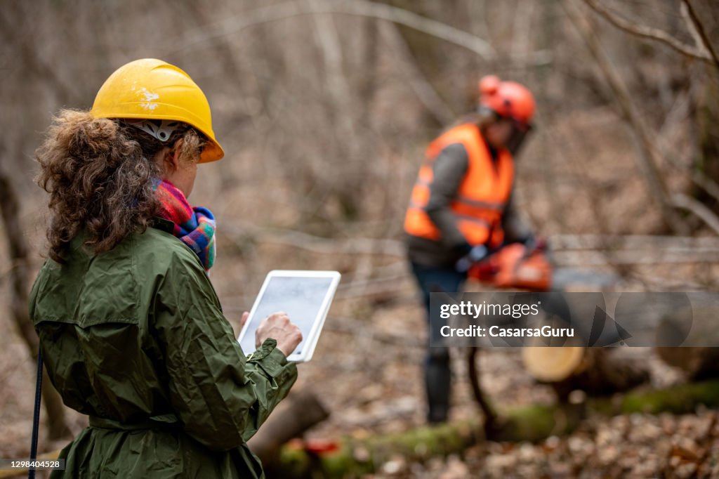 Forester Foreman Using Digital Tablet When Working and Supervising in Forest
