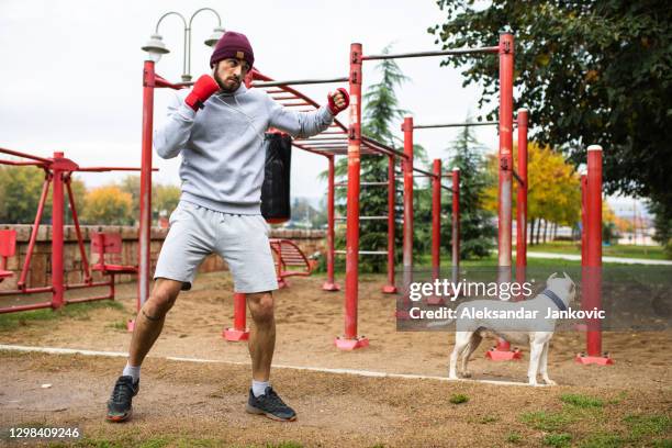 a boxer working out outdoors in bad weather - punch dog stock pictures, royalty-free photos & images