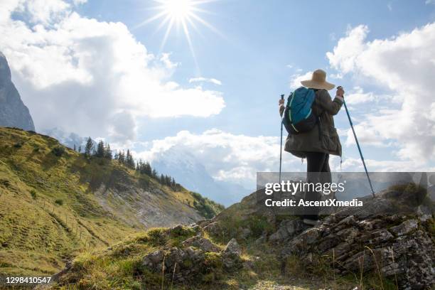 hiker with hiking poles and hat, hikes in meadow - hiking pole stock pictures, royalty-free photos & images