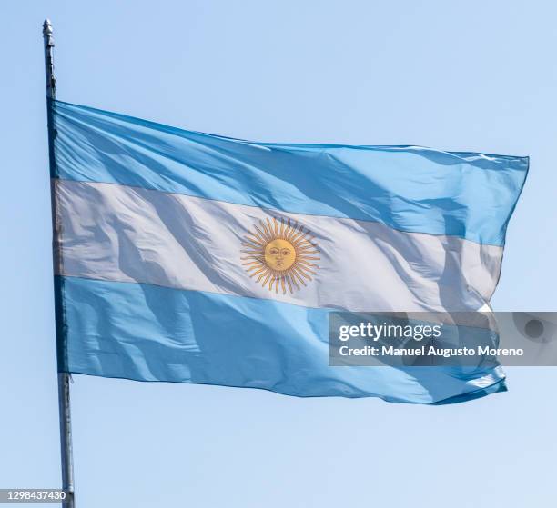 argentine flag - cultura argentina imagens e fotografias de stock