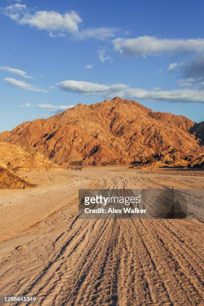 rural egyptian desert landscape - sinai egypt stockfoto's en -beelden