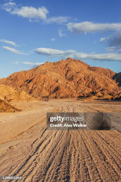 rural egyptian desert landscape - sinai egypt stock pictures, royalty-free photos & images