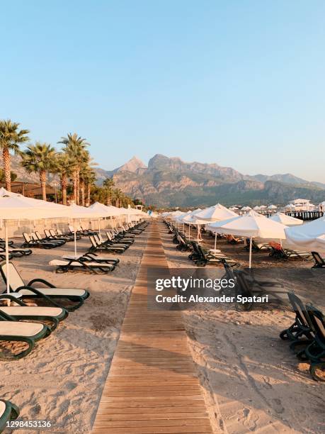 beach with sunbeds surrounded by montains and palm trees, kemer, turkey - kemer stock pictures, royalty-free photos & images