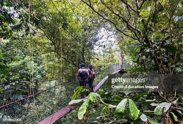 Mulu Baumkronenpfad, Canopy Walkway, Gunung Mulu National park, UNESCO Weltnaturerbe, Sarawak, Borneo, Malaysia.