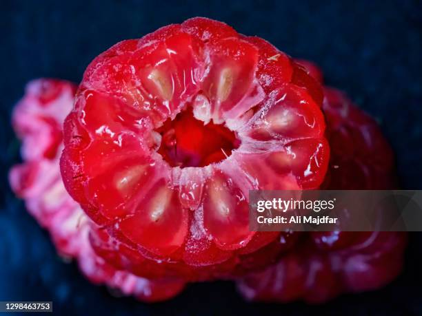 Lowland Raspberry Cross Section Of A Raspberry