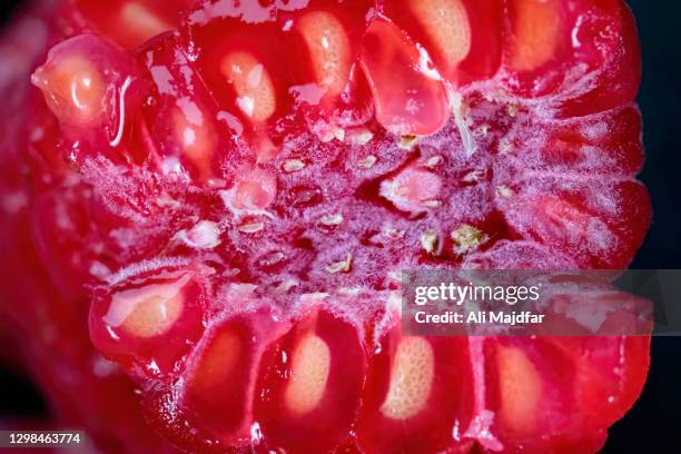 Raspberry Aggregation Cross Section Of A Raspberry