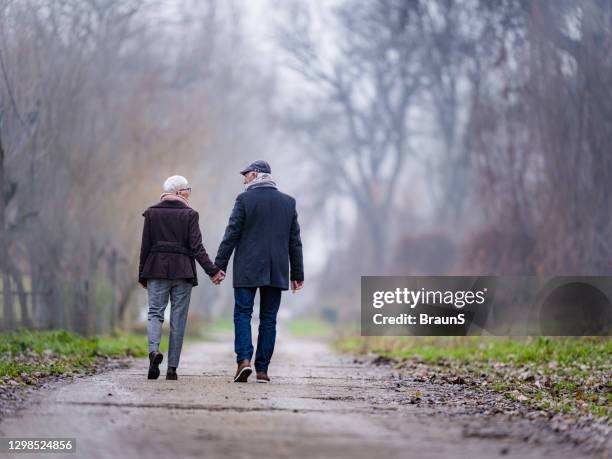 back view of a mature couple talking a walk in the park. - elderly woman from behind stock pictures, royalty-free photos & images