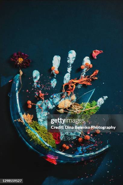 white handprint with broken glass and dried flowers, cave paintings in modern flat lay - african totem poles stock pictures, royalty-free photos & images