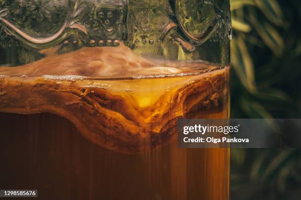 kombucha drink close-up. scooby culture. fermented foods, prebiotic, probiotic, healthy food concept. tea drink in a beautiful jar on the background of green plants. wellness lifestyle. - kombucha ストックフォトと画像