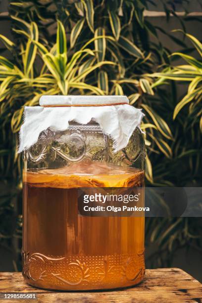 kombucha drink close-up. scooby culture. fermented foods, prebiotic, probiotic, healthy food concept. tea drink in a beautiful jar on the background of green plants. wellness lifestyle. - kombucha stockfoto's en -beelden