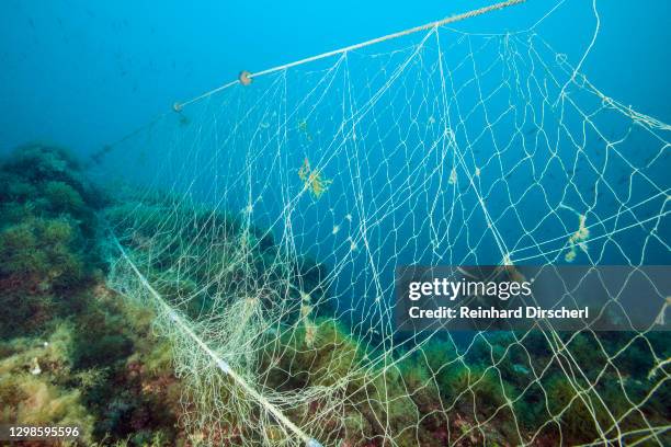 654 Fishing Net Under Water Stock Photos, High-Res Pictures, and Images -  Getty Images