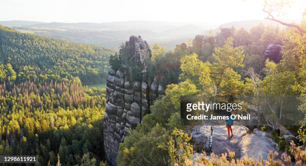 lone female hiker exploring saxon switzerland, saxony, germany - elbsandsteingebirge stock-fotos und bilder