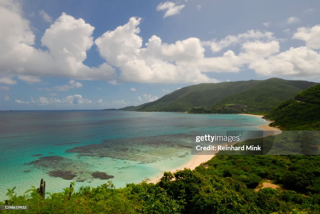 Tropical Coast