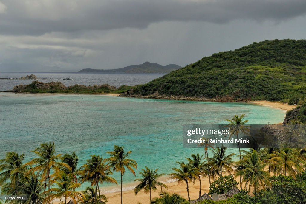 Tropical Coast