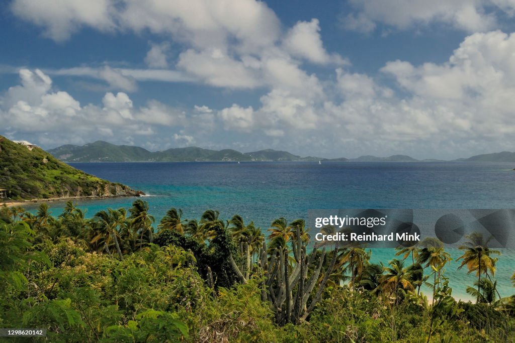 Tropical Coast