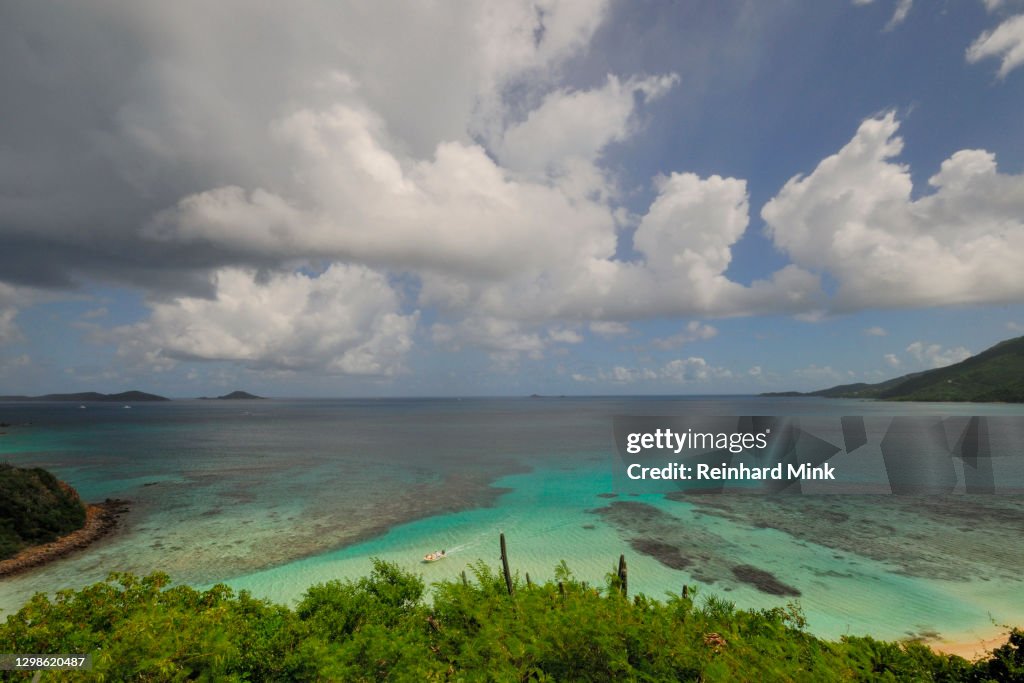 Tropical Coast