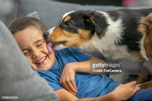ein großer kuss für sie! - pet adoption stock-fotos und bilder