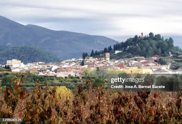 Repo Rugat 25 Rugat Stock Photos, High-Res Pictures, and Images - Getty Images