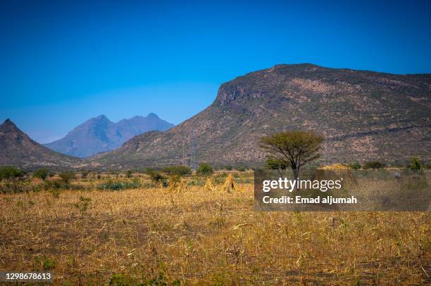 265 Ethiopian Rift Valley Stock Photos, High-Res Pictures, and Images ...