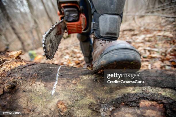 close-up of lumberjack about to saw a log marked with chalk - chainsaw stock pictures, royalty-free photos & images