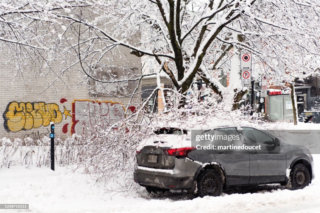 Tree branch fallen over a car in Montreal street after a snowstorm.