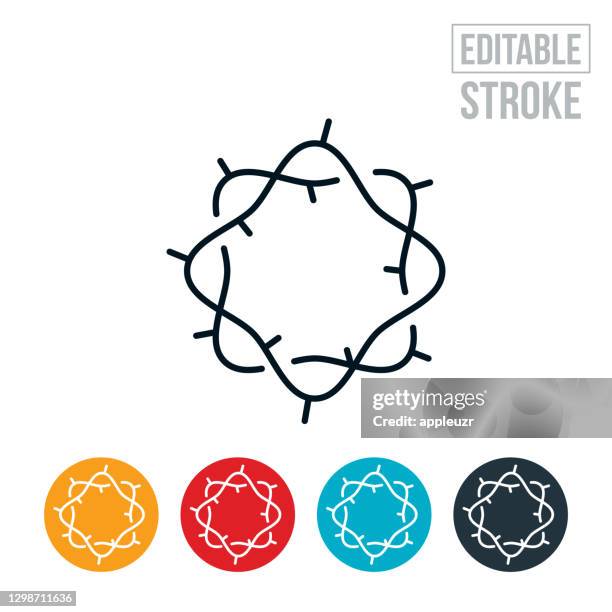 crown of thorns thin line icon - editable stroke - crown of thorns vector stock illustrations