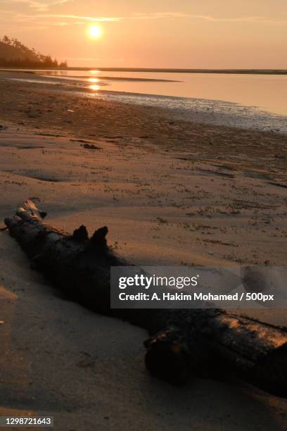 Chendor Chendor Photos and Premium High Res Pictures - Getty Images