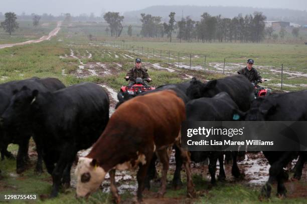 Matilda Penfold and Maddie Stiller muster cattle towards a holding yard at 'Old Bombine' on January 18, 2021 in Meandarra, Australia. COVID-19 and...