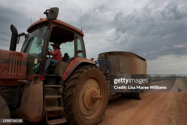 Station hand Maddie Stiller delivers feed along the troughs at 'Old Bombine' on January 18, 2021 in Meandarra, Australia. COVID-19 and the recent...