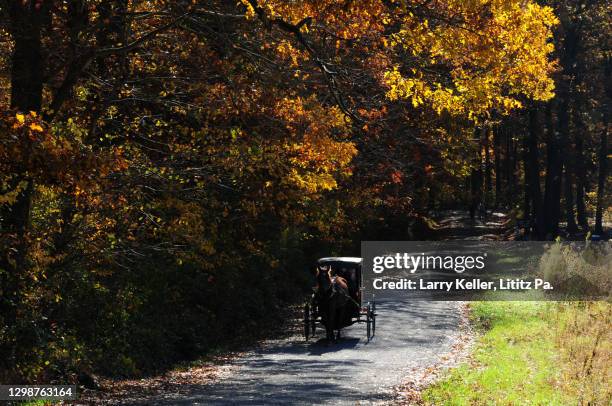 amish horse and buggy on a country road - amish man stock-fotos und bilder